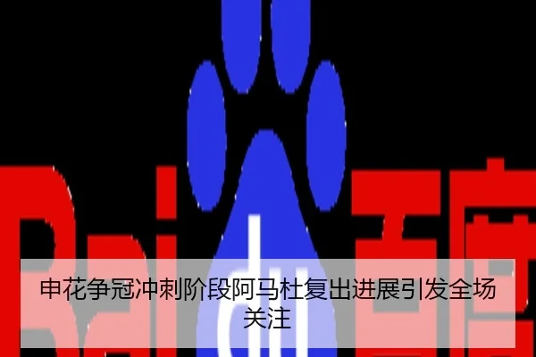 申花争冠冲刺阶段阿马杜复出进展引发全场关注